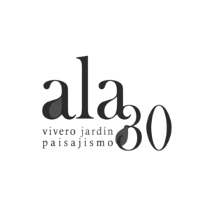 Logotipo de Ala30 cliente de Aquí Hay Marketing