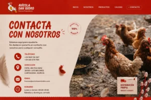 Servicio de diseño web