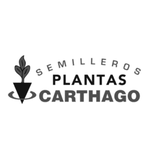 Logotipo de Plantas Carthago cliente de Aquí Hay Marketing
