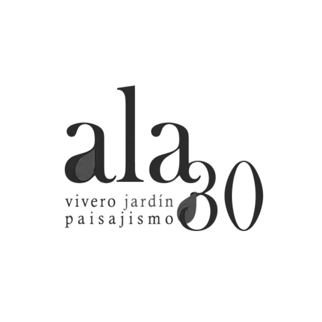 cliente-9-ala30