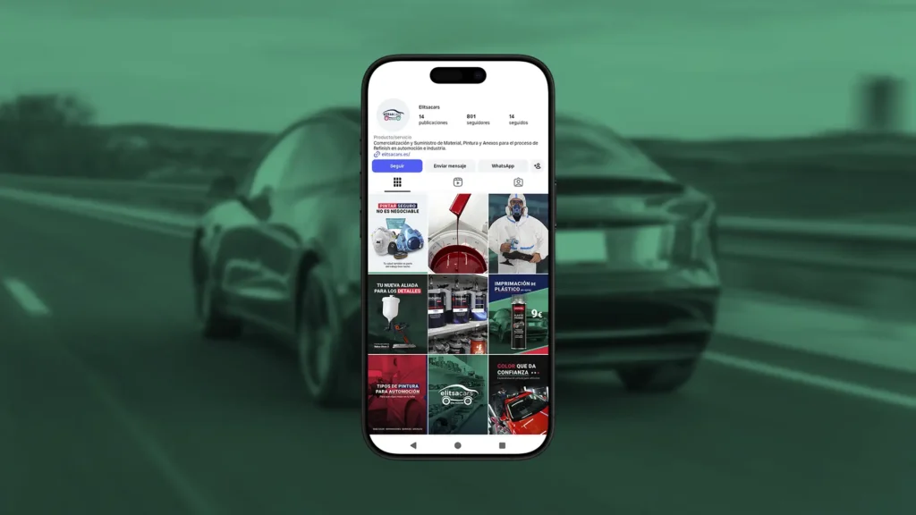 Proyecto Elitsacar realizado por Aquí Hay Marketing