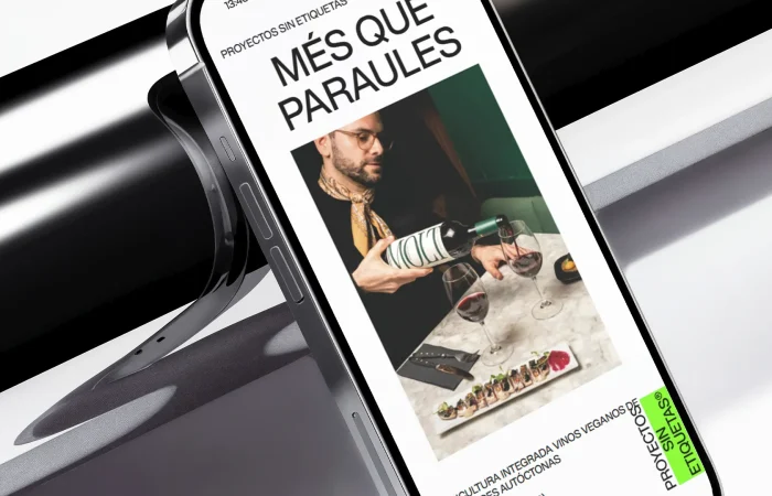 proyectos-1 (1)