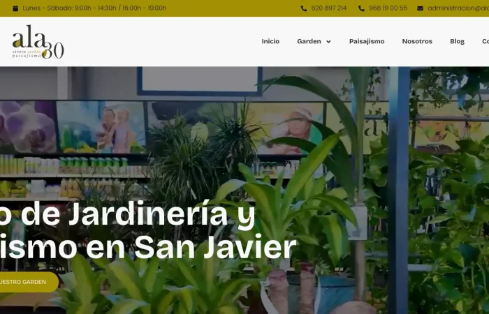 web-diseno-2